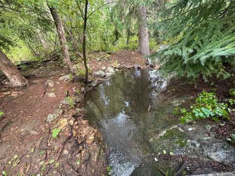 31429 Burke Road, Golden, CO 80403