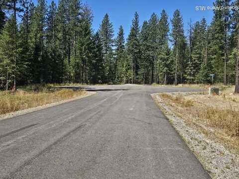 Lot 1 TJ Trail, Athol, ID 83801