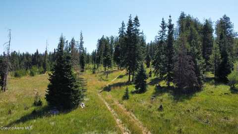 Parcel 10 Green Valley RD, Fernwood, ID 83830
