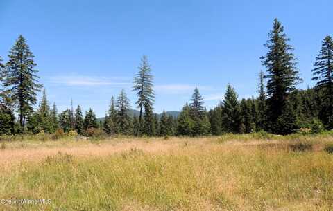Nka Foote Road, Tensed, ID 83870