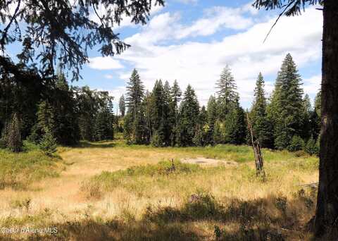 Nka Foote Road, Tensed, ID 83870