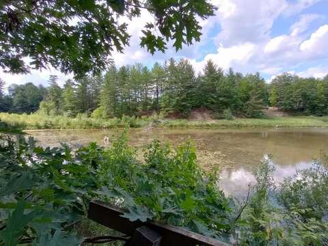 VL Lockwood, Gladwin, MI 48624