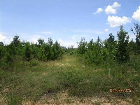 0 COLD BRANCH Road, Colfax, LA 71417