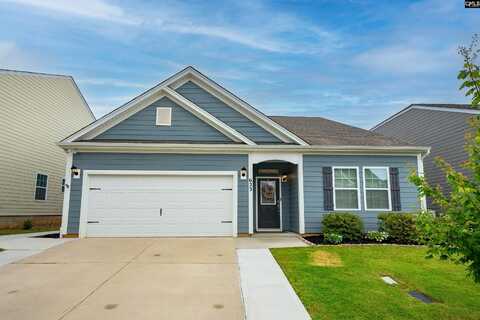 623 Autumn Shiloh Drive, Chapin, SC 29036