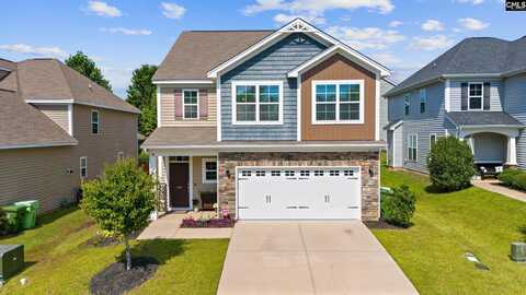 608 Calypso Ct, Chapin, SC 29036
