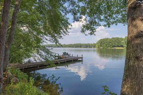 813 Edisto Lake Road, Wagener, SC 29164