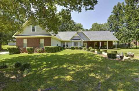 366 Gallery Cliff Drive, Chapin, SC 29036
