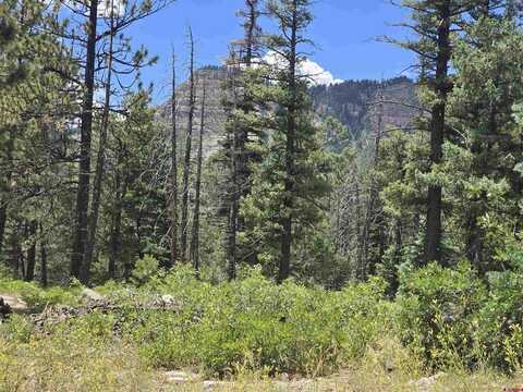 67 Big Pine Trail, Durango, CO 81301