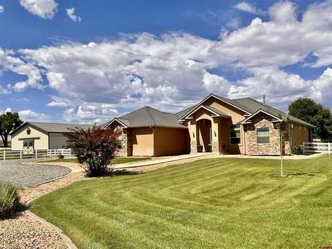 1889 Snaffle Bit Road, Delta, CO 81416