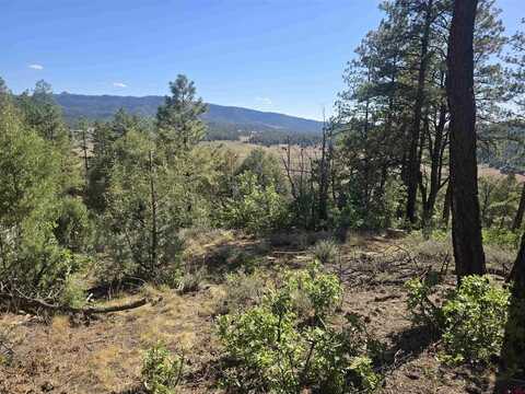 147 Cat Creek Overlook, Pagosa Springs, CO 81147