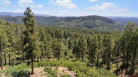 220 Hilltop Drive, Bayfield, CO 81122