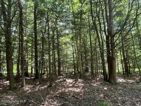 204 Bauer Road, Sand Lake, NY 12018