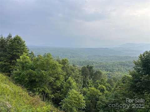 Golden Ridge Drive, Lake Lure, NC 28746