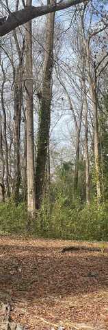 Skipper Street, Rockingham, NC 28379