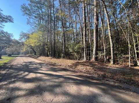 0 Willtown Road, Adams Run, SC 29426