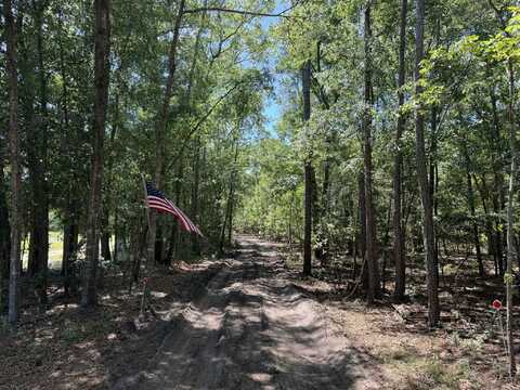 6110 Hosanna Way, Hollywood, SC 29449