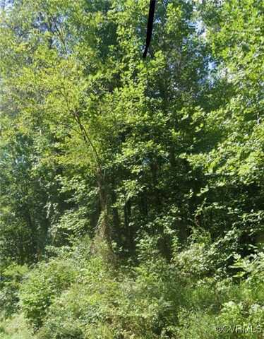 New Line Road, Goochland, VA 23065