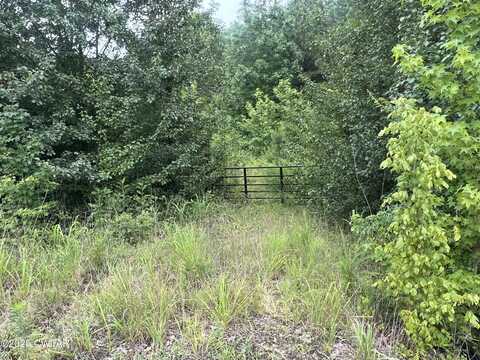 200 Bowman Loop Road, Beech Bluff, TN 38313