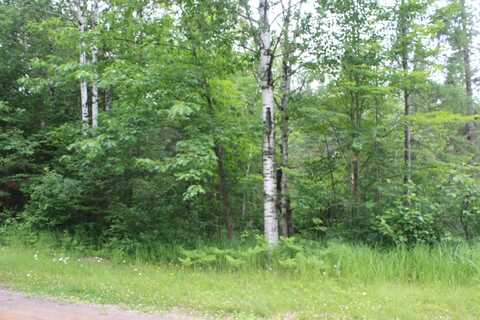 51XX Olson Rd, Brule, WI 54820