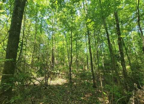 0 S State Highway 27, Geneva, AL 36340
