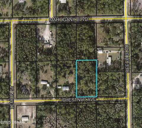 5540 Chestnut Avenue, Bunnell, FL 32110