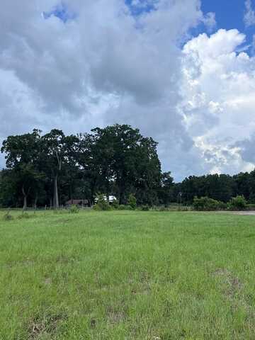 Lot 5 5th Pl, Chiefland, FL 32626