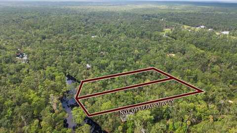 2338 Ancient Oaks Dr, Steinhatchee, FL 32359