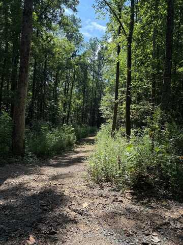 Ledford Road, Cohutta, GA 30710