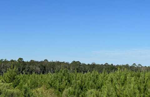 Parcel E Millside Road, Laurel Hill, FL 32567
