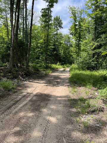 South Chesbrough Lake Road, Newberry, MI 49868