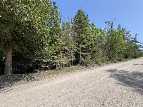660-027-10 E Huron DR, Bois Blanc, MI 49775