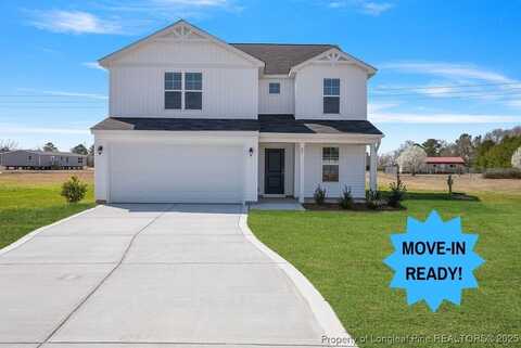 85 Buggy Top (Lot 4) Lane, Autryville, NC 28318