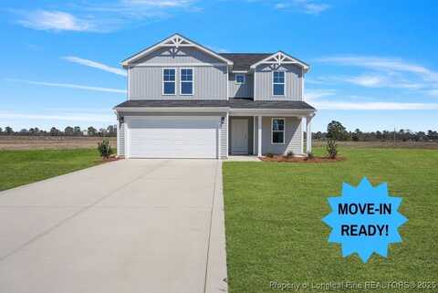 146 Buggy Top (Lot 25) Lane, Autryville, NC 28318