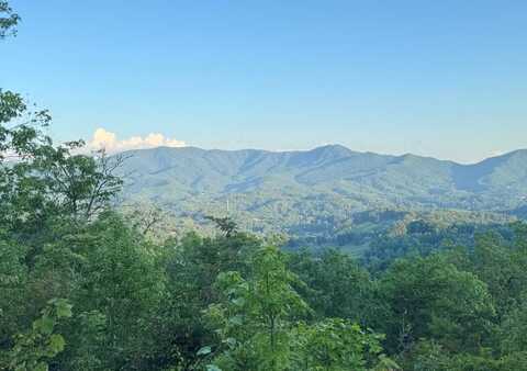 528 Maggies Avenue, Bryson City, NC 28713
