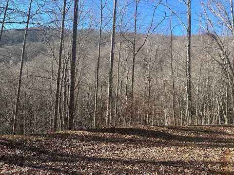 Lot 20 Long Creek Lane, Bryson City, NC 28713