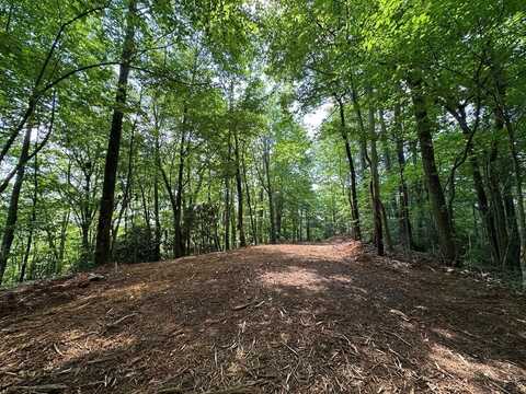 3359 Mulberry Rd, Otto, NC 28763
