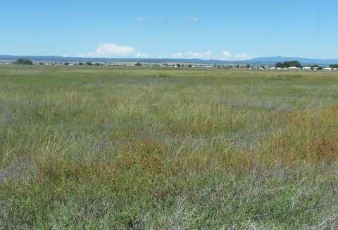 C. DEL SOL A081/MULBERRY A146, McIntosh, NM 87032