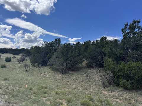 54 LAS COLINAS Road, Edgewood, NM 87015