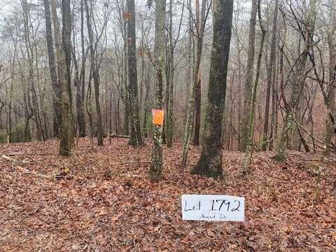 3190 Newport Drive, East Ellijay, GA 30540