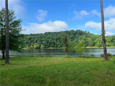 0 Covington Bridge Road, Fairmount, GA 30139