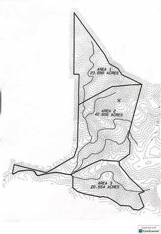 42.65 Acres Mincie Mountain, Murrayville, GA 30564