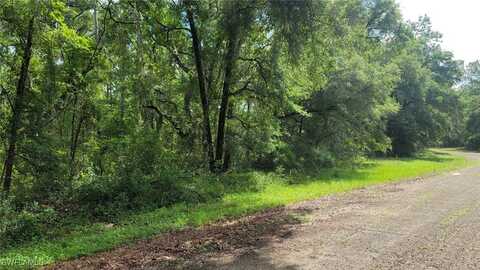 373 E Avondale Drive, Citrus Springs, FL 34434