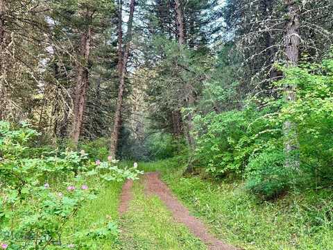 tbd Round Pole Drive lot: 31, Three Forks, MT 59752