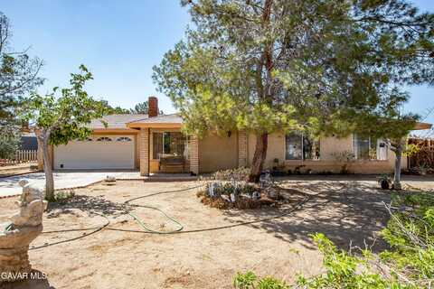 16173 Newmont Avenue, Lake Los Angeles, CA 93535