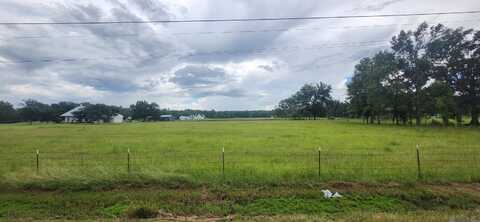 Tbd Butch Gore Rd, Saint Amant, LA 70774