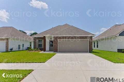 113 Teddy Ln, Lafayette, LA 70507