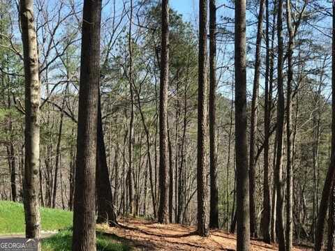 0 Carters View, Ellijay, GA 30540