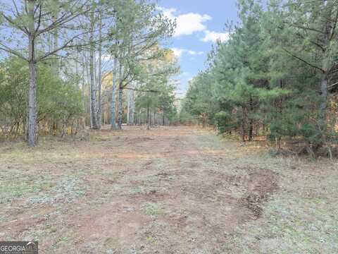 0 Seven Islands, Madison, GA 30650