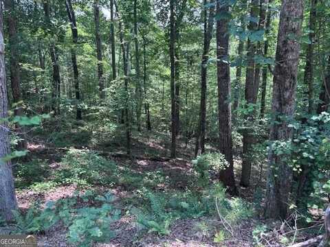 10090 Brazell, Chattahoochee Hills, GA 30213