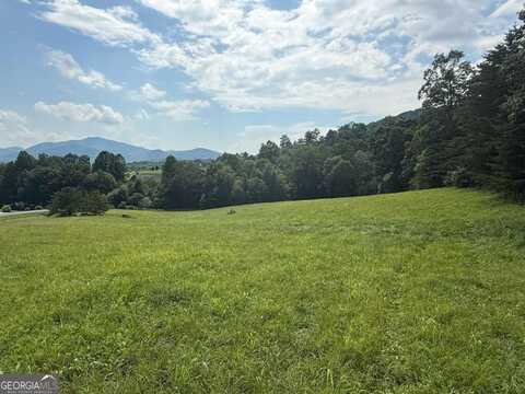 Lot 52 The Preserve At CC, Young Harris, GA 30582